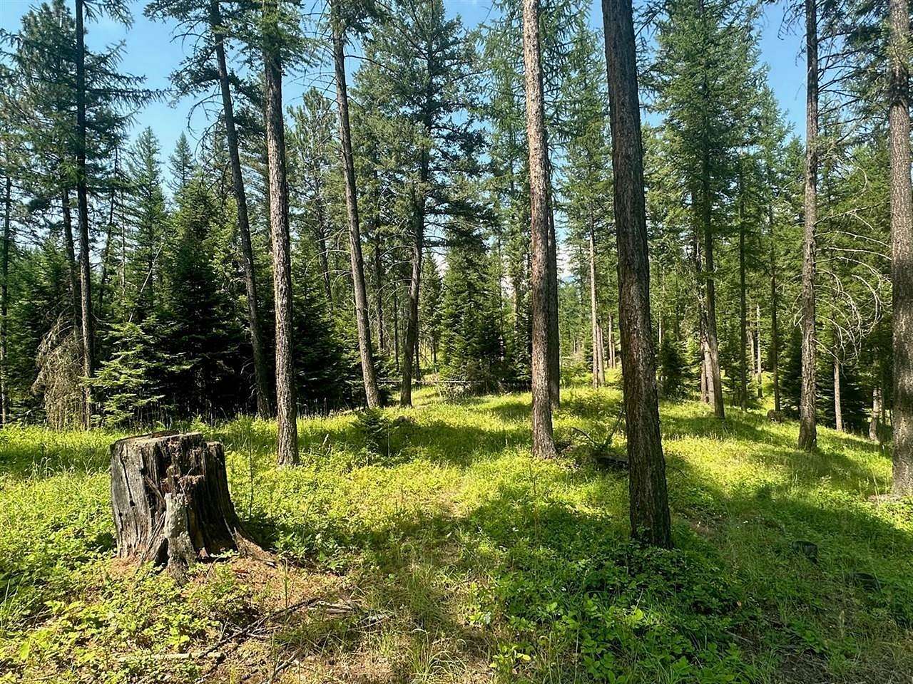6.2 Acres of Land for Sale in Kalispell, Montana