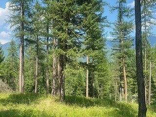 3.7 Acres of Land for Sale in Kalispell, Montana