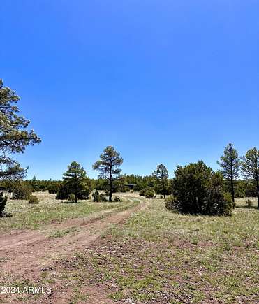5 Acres of Land for Sale in Lakeside, Arizona