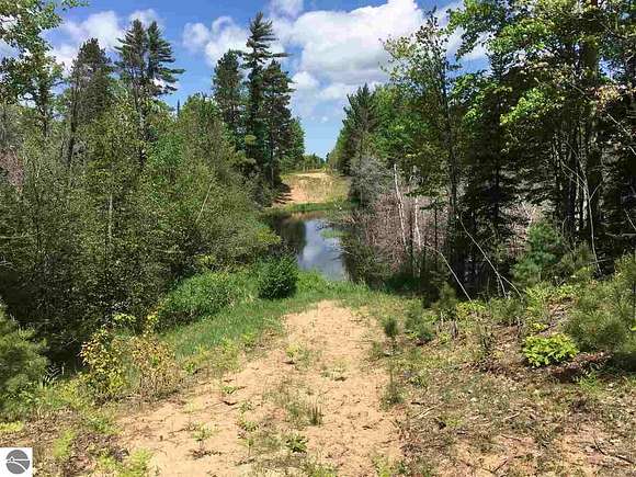 5 Acres of Recreational Land for Sale in Union Township, Michigan