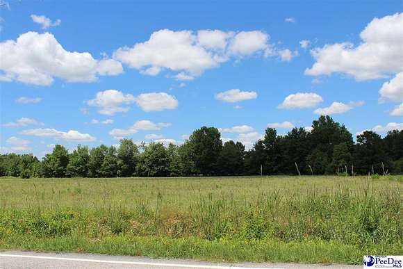 0.7 Acres of Residential Land for Sale in Marion, South Carolina