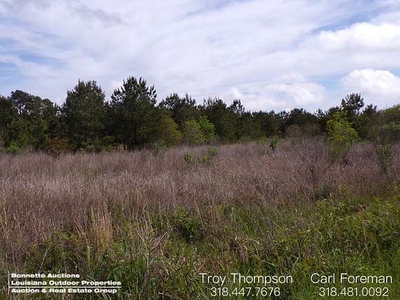187 Acres of Recreational Land for Sale in Oberlin, Louisiana