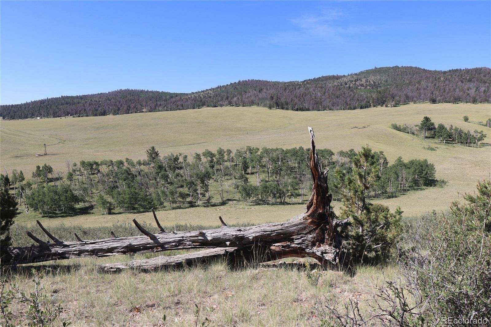 5 Acres of Residential Land for Sale in Hartsel, Colorado