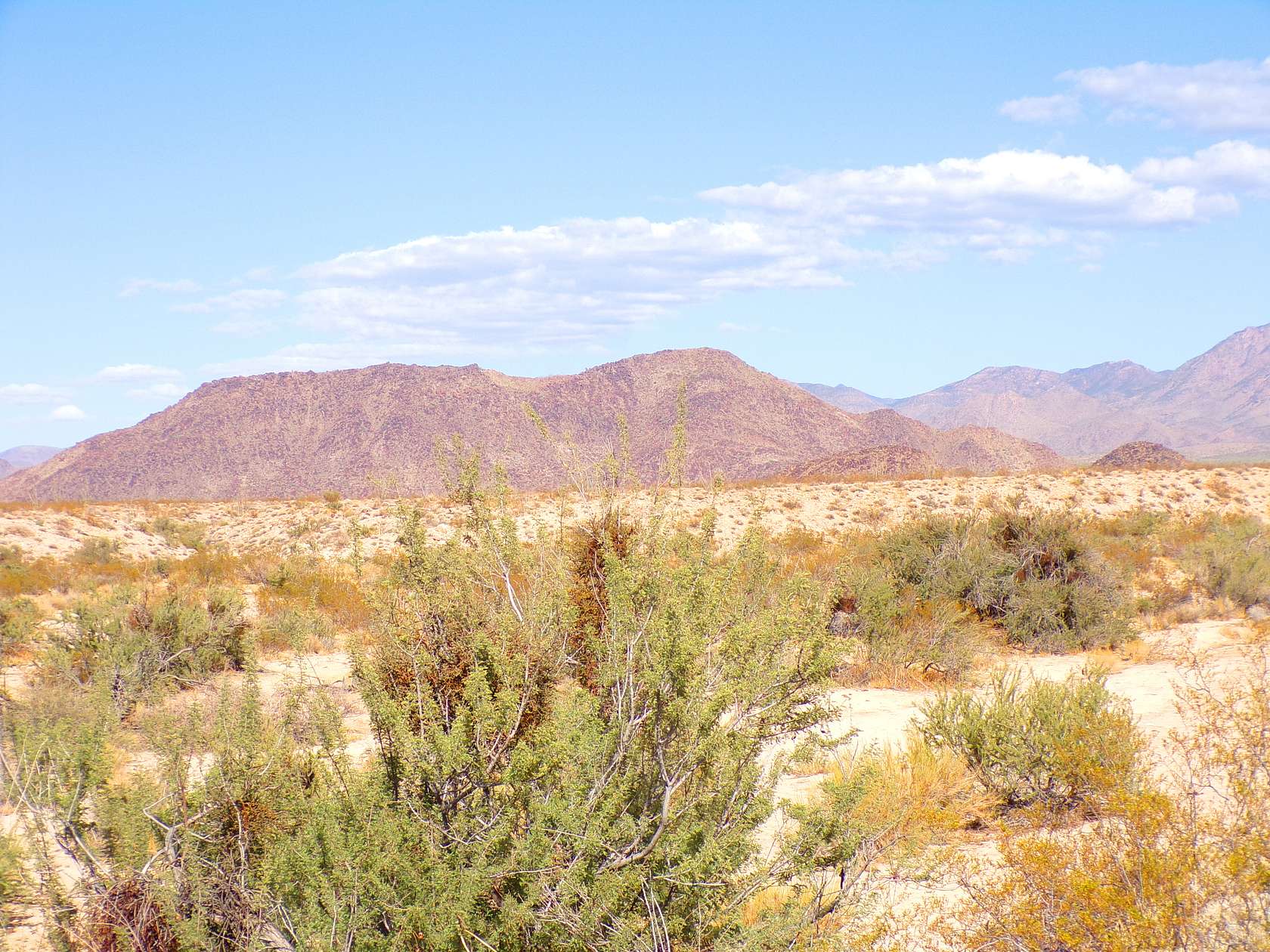 Land for Sale in Arizona Village, Arizona