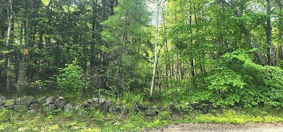 106 Acres of Land for Sale in Acton, Maine