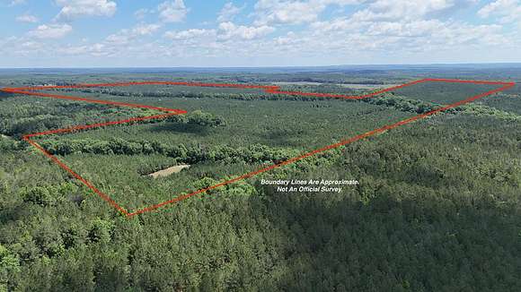 490 Acres of Recreational Land & Farm for Sale in Pittsview, Alabama