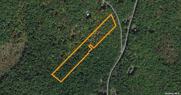 7.3 Acres of Land for Sale in Barryville, New York