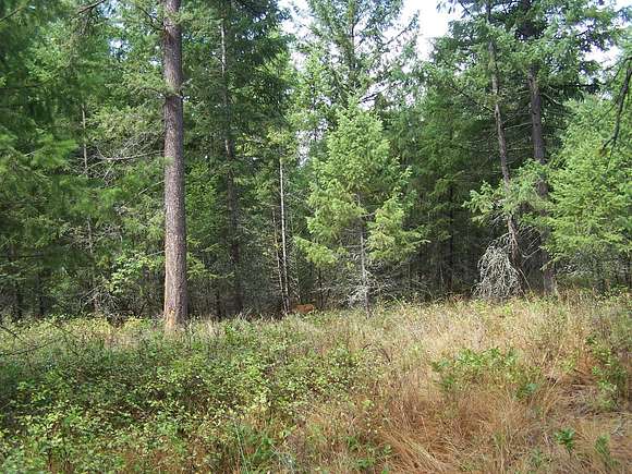 6 Acres of Land for Sale in Kettle Falls, Washington