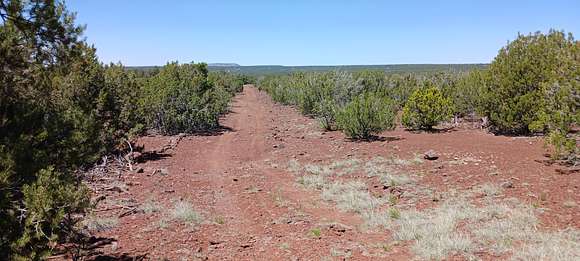 Residential Land for Sale in Concho, Arizona