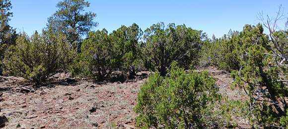 1.16 Acres of Residential Land for Sale in Concho, Arizona