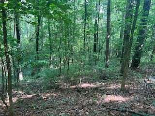 33 Acres of Recreational Land for Sale in Brookhaven, Mississippi