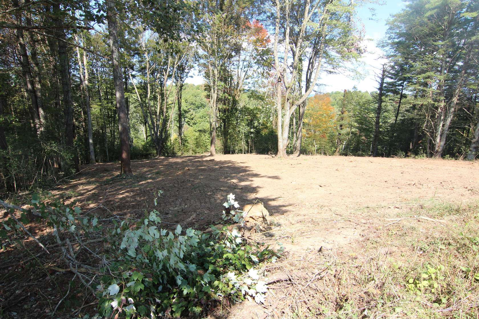 2.5 Acres of Residential Land for Sale in Mountain City, Tennessee