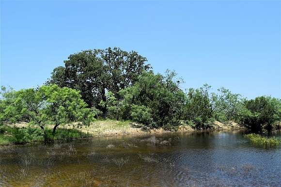 170 Acres of Land for Sale in Valera, Texas