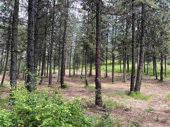 1.42 Acres of Land for Sale in Inchelium, Washington