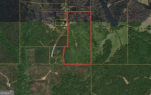 53 Acres of Land for Sale in Grantville, Georgia