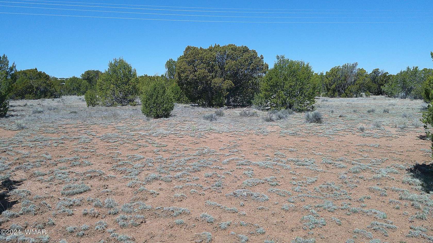 0.46 Acres of Residential Land for Sale in Concho, Arizona - LandSearch