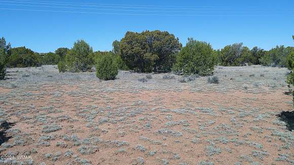 0.46 Acres of Residential Land for Sale in Concho, Arizona