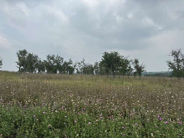 3.69 Acres of Residential Land for Sale in Fredericksburg, Texas