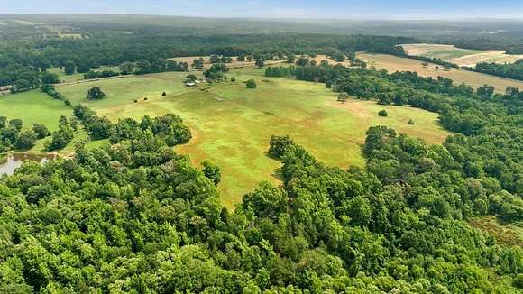 107.92 Acres of Agricultural Land for Sale in Palestine, Texas