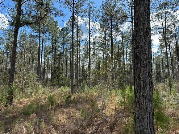 40 Acres of Land for Sale in Toxey, Alabama