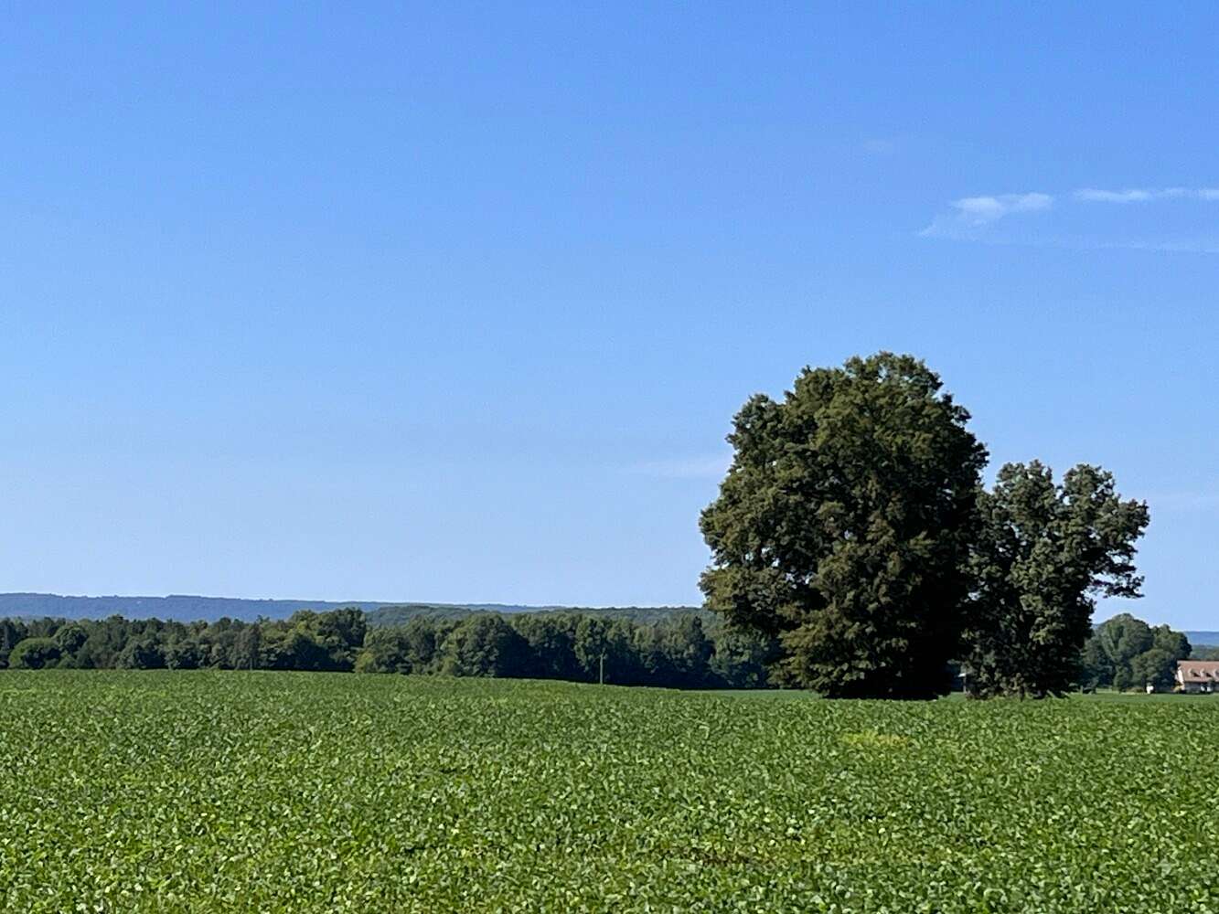 84 Acres of Agricultural Land for Sale in New Hope, Alabama