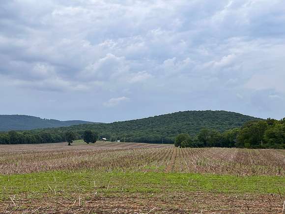84 Acres of Agricultural Land for Sale in New Hope, Alabama