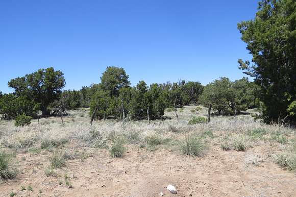 311 Acres of Land for Sale in Fence Lake, New Mexico