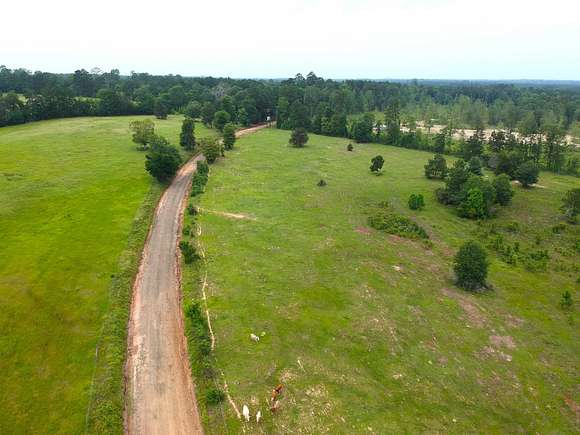12 Acres of Land for Sale in Woodville, Texas
