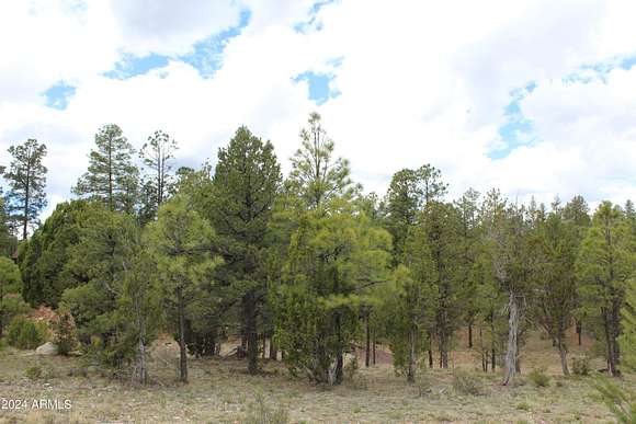 1.36 Acres of Residential Land for Sale in Heber, Arizona