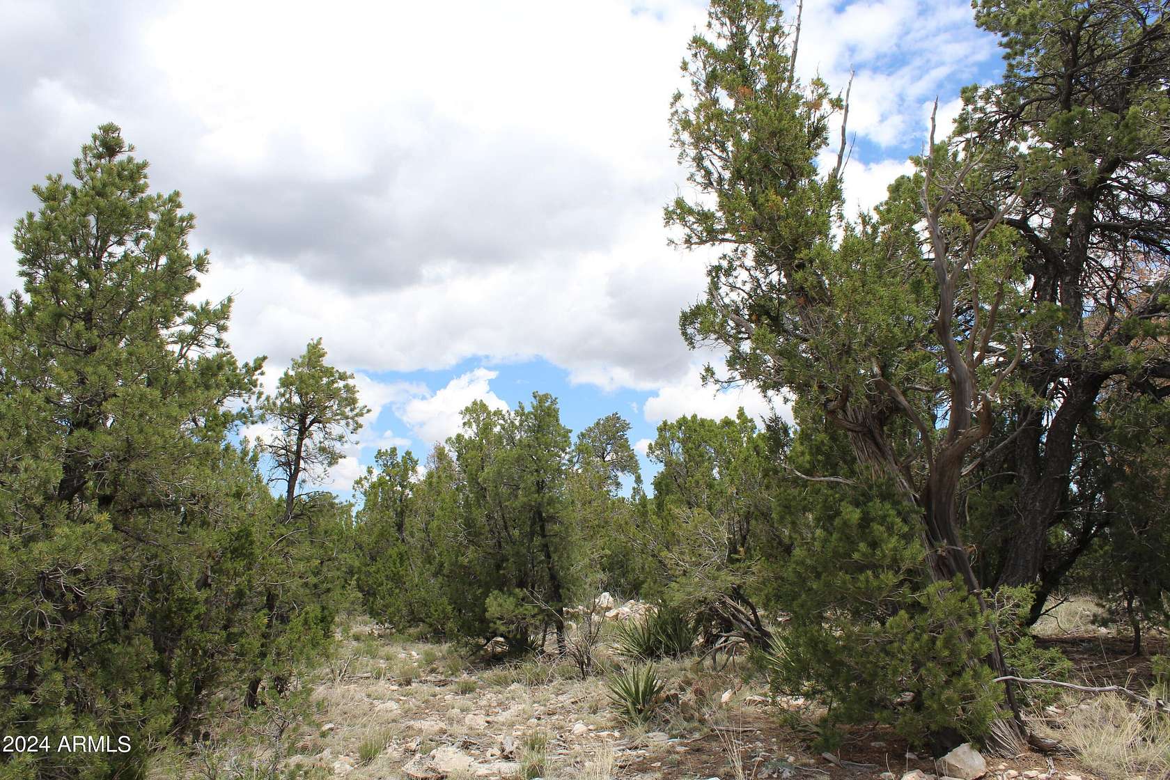 0.79 Acres of Residential Land for Sale in Heber, Arizona