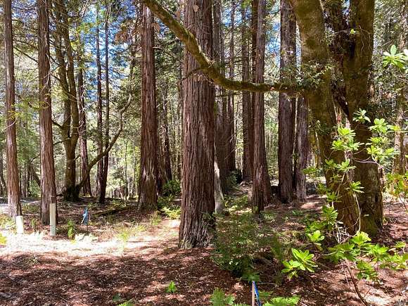 3.4 Acres of Residential Land for Sale in Sea Ranch, California