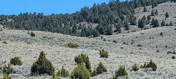 165 Acres of Land for Sale in Virginia City, Montana