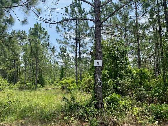 18.5 Acres of Land for Sale in Elizabeth, Louisiana