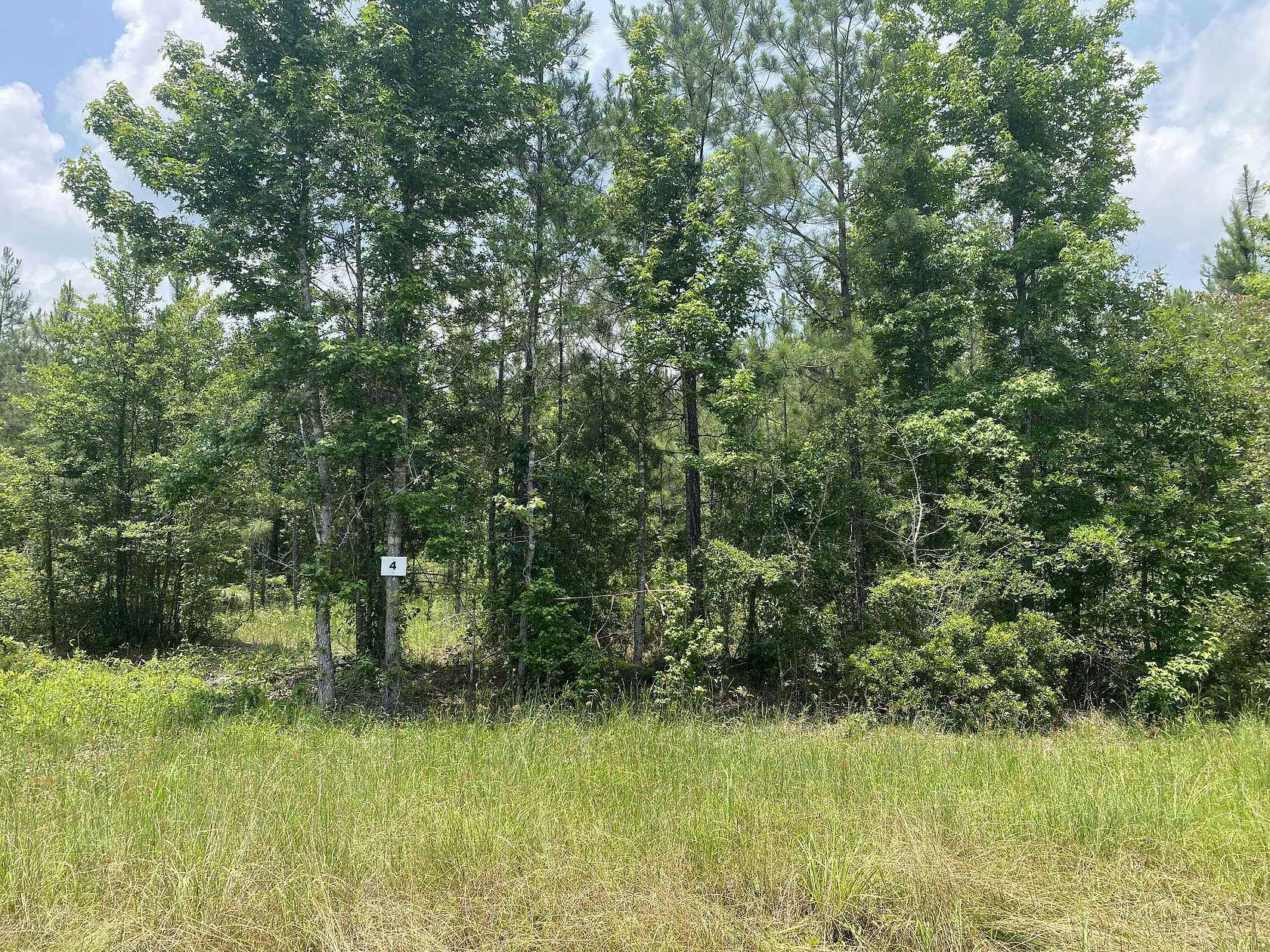 14.5 Acres of Land for Sale in Elizabeth, Louisiana