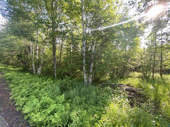 30 Acres of Recreational Land for Sale in Lake Nebagamon, Wisconsin