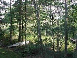 56.7 Acres of Land for Sale in Mount Vernon, Maine
