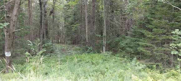 26.4 Acres of Recreational Land for Sale in Anson, Maine