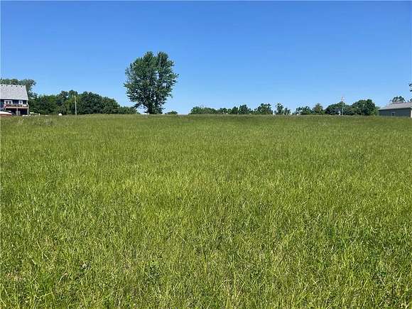 0.46 Acres of Residential Land for Sale in Altamont, Missouri