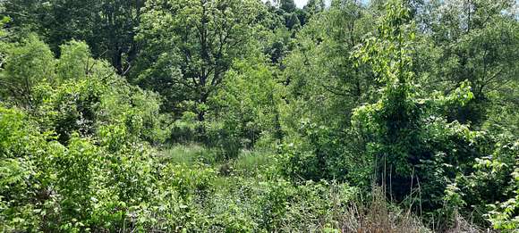 4.9 Acres of Land for Sale in Barbourville, Kentucky