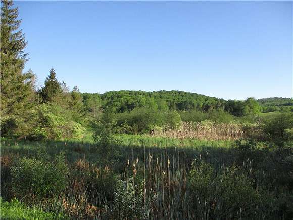 10 Acres of Residential Land for Sale in Smyrna, New York