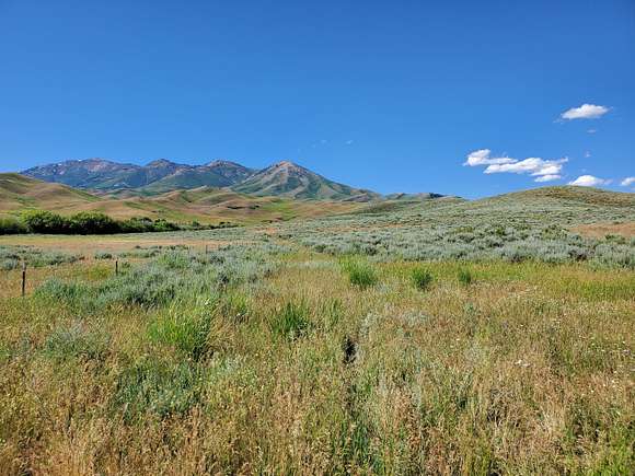 40 Acres of Land for Sale in Fairfield, Idaho