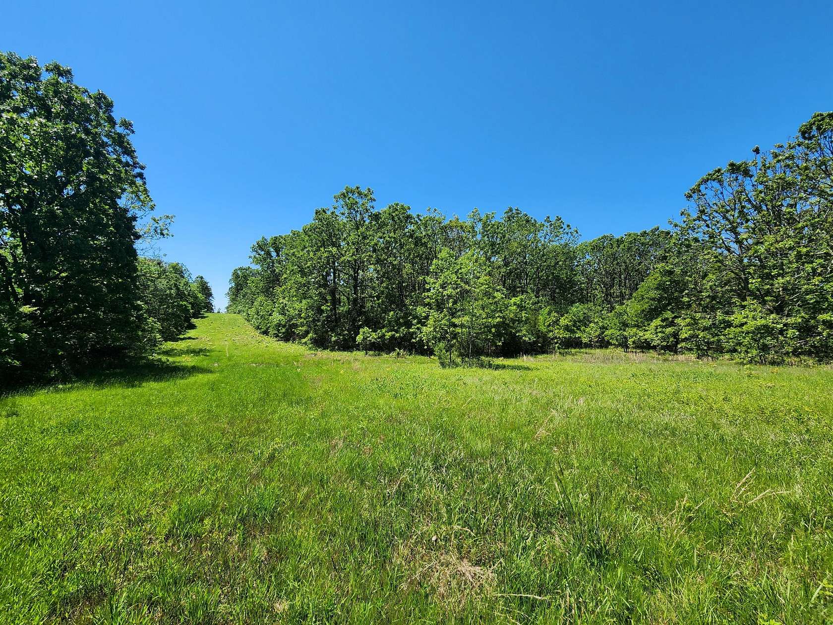 27.75 Acres of Recreational Land for Sale in Mountain View, Missouri