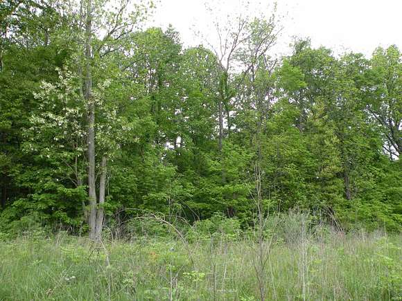 3 Acres of Residential Land for Sale in Solsberry, Indiana
