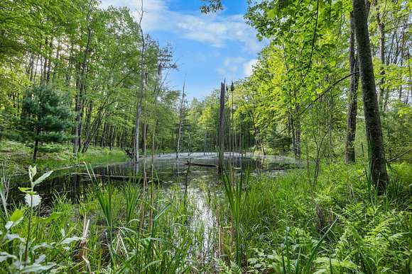 40 Acres of Recreational Land for Sale in Big Rapids, Michigan
