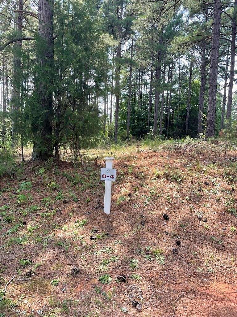 1 Acre of Residential Land for Sale in Abbeville, South Carolina