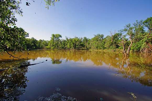 219.572 Acres of Recreational Land & Farm for Sale in Holland, Texas