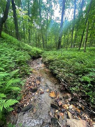 11.73 Acres of Land for Sale in Talking Rock, Georgia