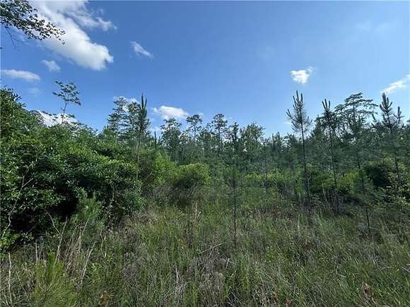 94.396 Acres of Land for Sale in Lacombe, Louisiana