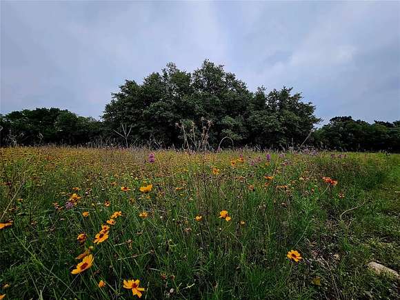2 Acres of Land for Sale in Liberty Hill, Texas
