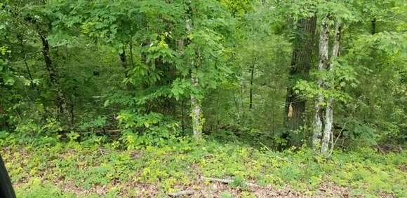 0.33 Acres of Land for Sale in Spring City, Tennessee